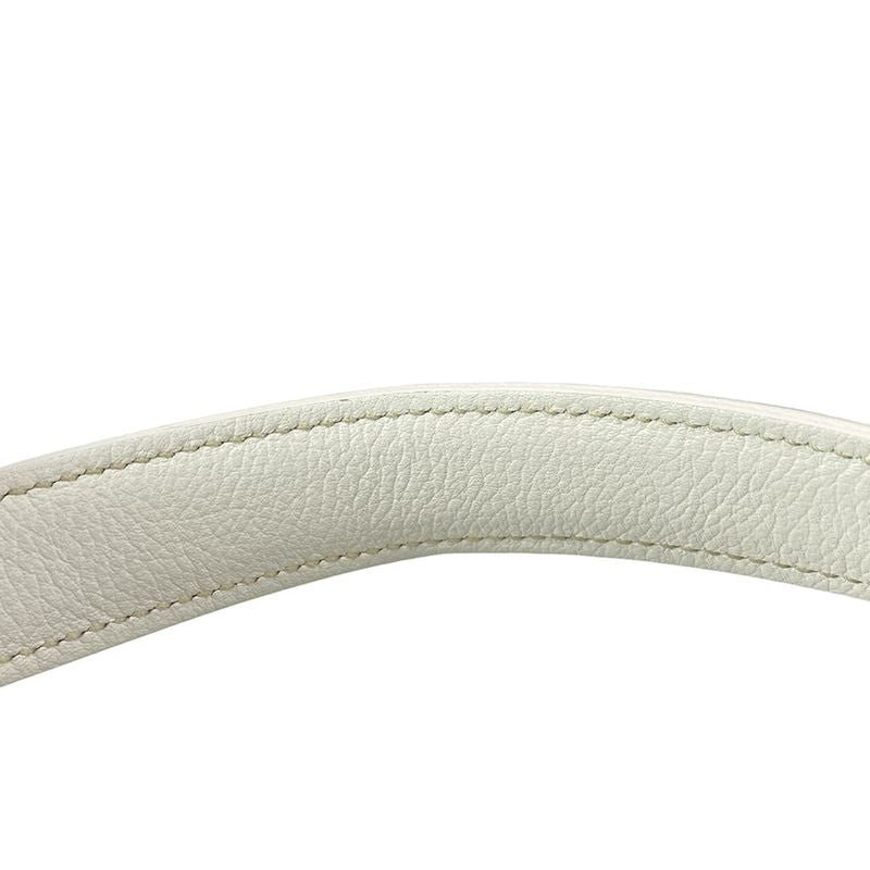 Goyard Handbag Petit Flo Mini Bag Peflotminty50cl50p White Mini Bag Leather