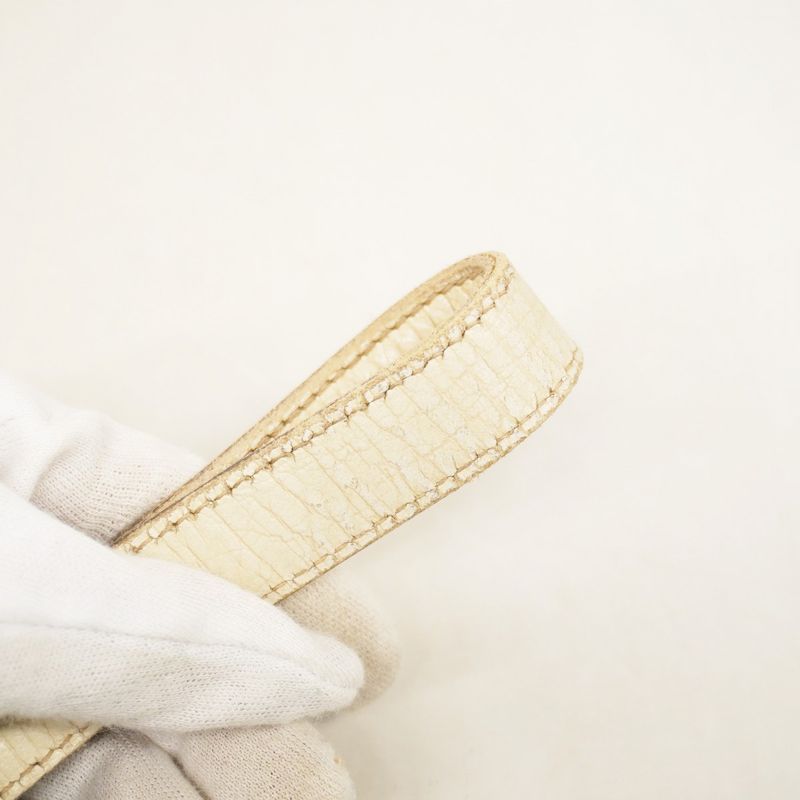 Gucci Tote Bag GG Canvas/sherry Line 137396 Canvas Beige White Chien Pan Gold