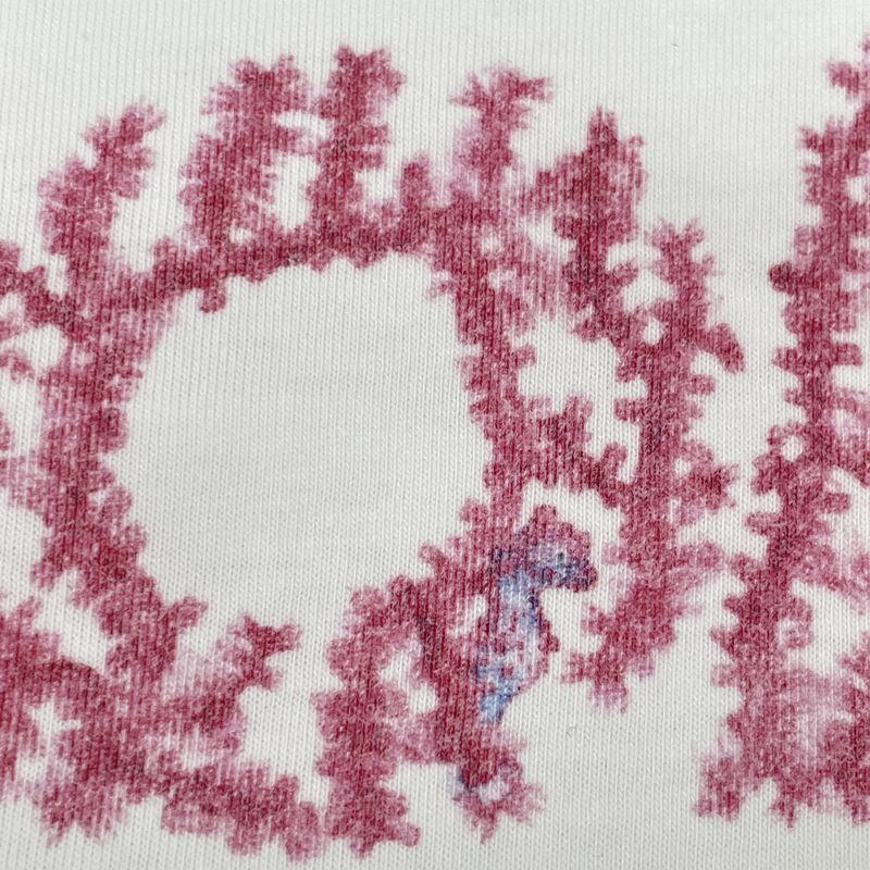 DIOR White And Pink Logo Short Sleeve T-shirt 24ss L