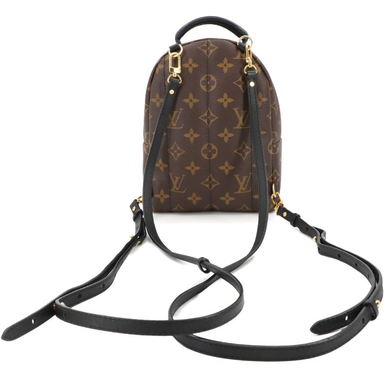 Louis Vuitton Monogram Palm Sp Ring Su Backpack MINI Backpack Sac Brown M41562