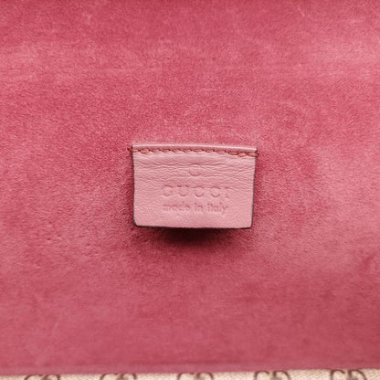 Gucci Dionysus Beige Red And Multicolor PVC Coated Canvas And Suede 400249