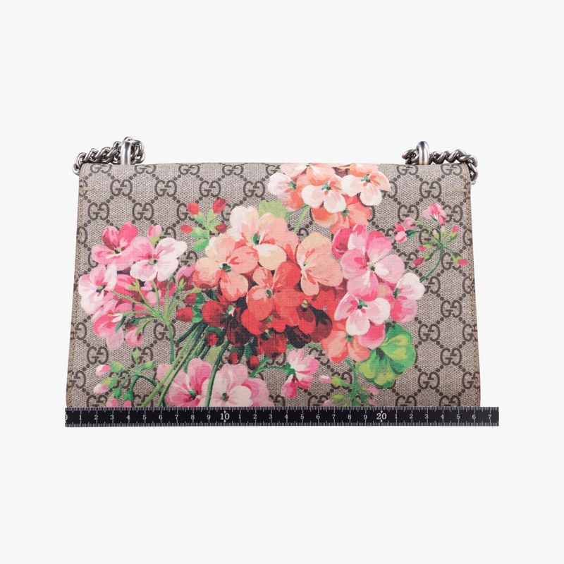Gucci Dionysus Beige Red And Multicolor PVC Coated Canvas And Suede 400249