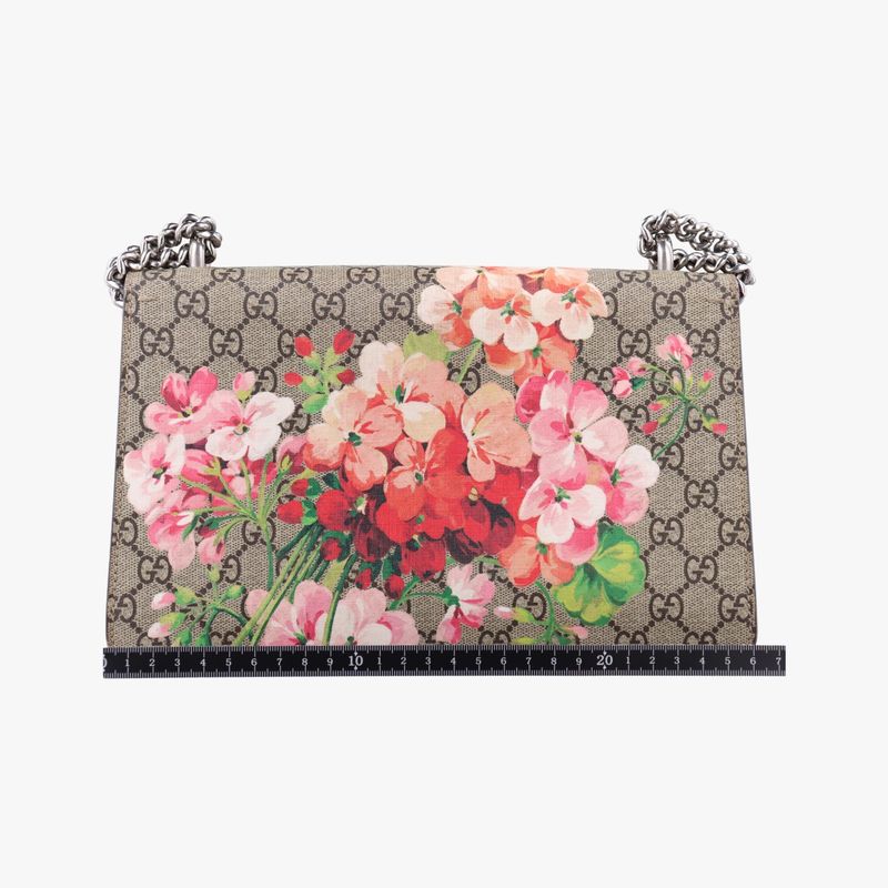 Gucci Dionysus Beige Red And Multicolor PVC Coated Canvas 400249 G025042647