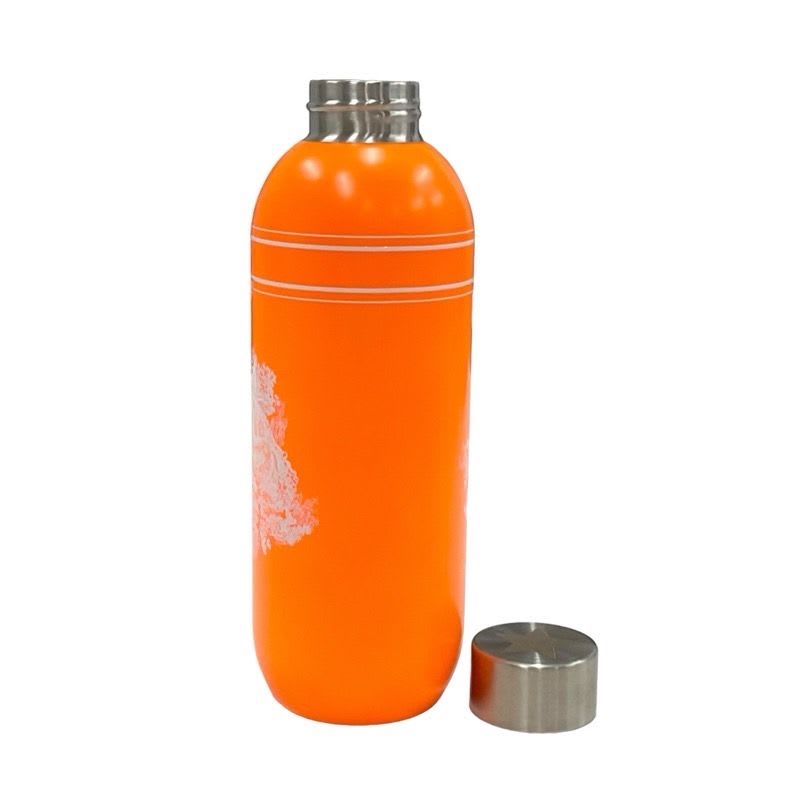 Christian Dior Neon Orange Toile de Jouy Bottle Water