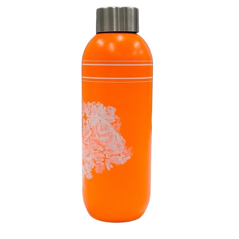 Christian Dior Neon Orange Toile de Jouy Bottle Water