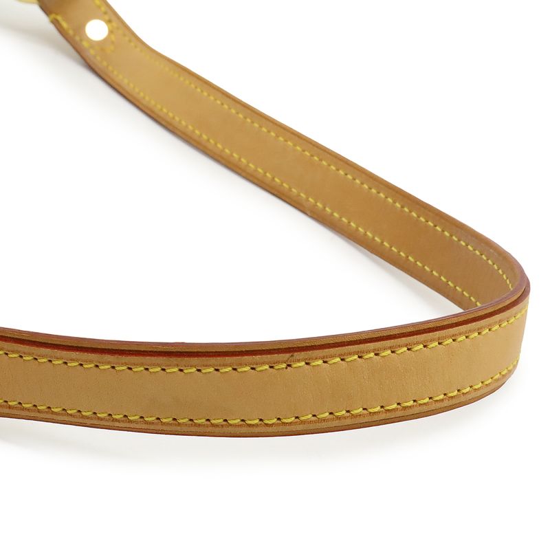 Louis Vuitton Monogram Multicolor Eliza Shoulder Bag One Shoulder Semi Shoulder