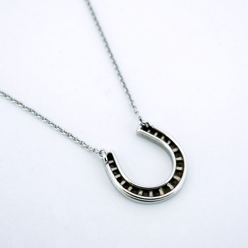 Tiffany & Co Necklace Horseshoe Pt950 Platinum With Diamonds Ladies