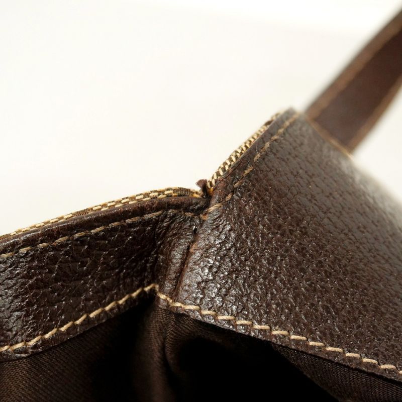 Gucci Handbag GG Canvas 154981 Canvas Brown Chien Pan Gold Hardware Women