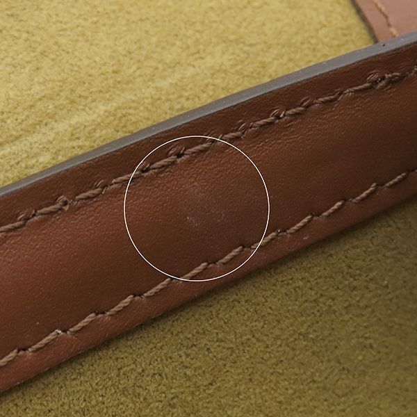 Louis Vuitton 2way Bag Papillon Trunk Monogram Canvas Monogram Gold Hardware