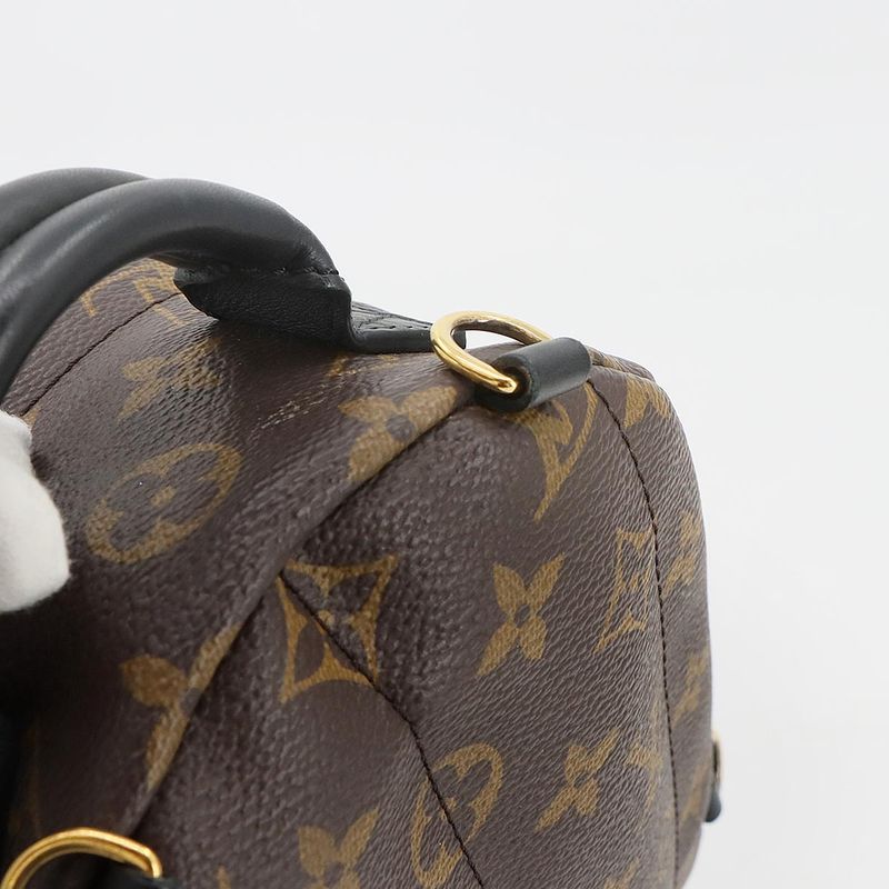 Louis Vuitton Monogram Palm Sp Ring Su Backpack MINI Backpack Sac Brown M44873
