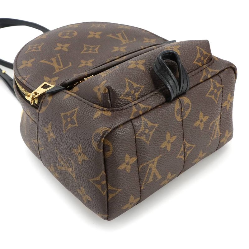 Louis Vuitton Monogram Palm Sp Ring Su Backpack MINI Backpack Sac Brown M44873