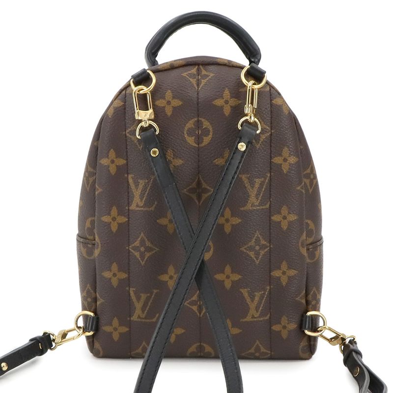 Louis Vuitton Monogram Palm Sp Ring Su Backpack MINI Backpack Sac Brown M44873