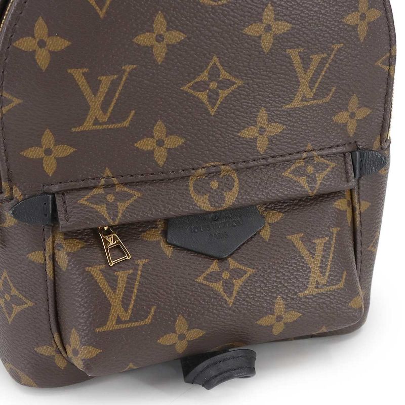 Louis Vuitton Monogram Palm Sp Ring Su Backpack MINI Backpack Sac Brown M44873