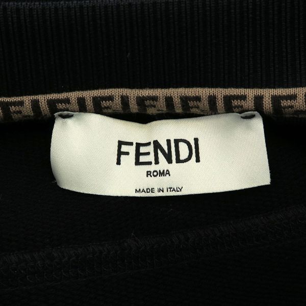 Fendi Sweatshirt Fs7907 [rank B