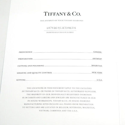 Tiffany & Co Solitaire Necklace Pt950 D0.25ct F-vs1-ex