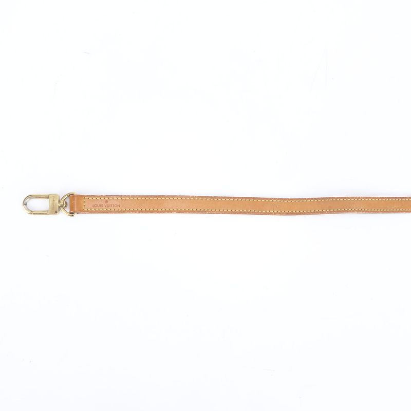 Louis Vuitton Leather Shoulder Strap Nubuck Bag Brown Gold Hardware Men's EUE