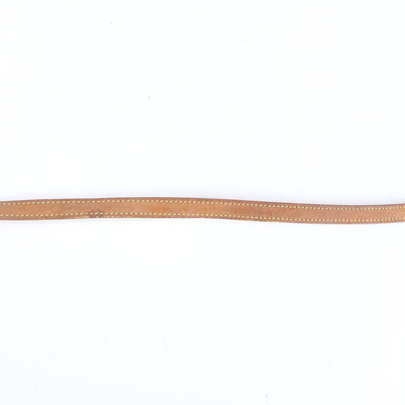 Louis Vuitton Leather Shoulder Strap Nubuck Bag Brown Gold Hardware Men's EUE