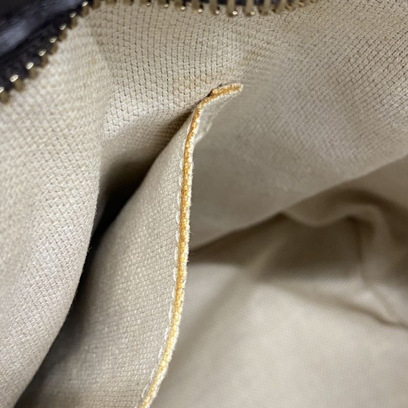 Gucci Tote Bag GG Supreme 353440 PVC Brown Chien Pan Gold Hardware Women's