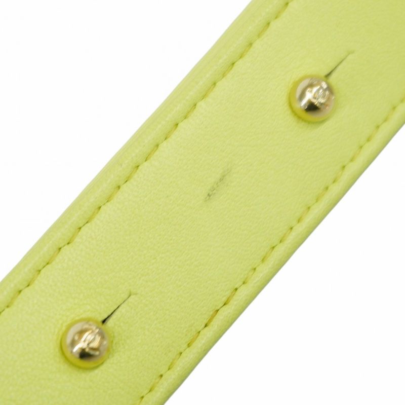 Chanel Shoulder Bag Boy Chanel Lambskin Green Chien Pan Gold Hardware Women