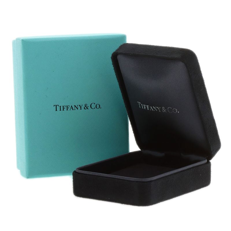 Tiffany & Co Bigtoria Key Diamond Necklace Pt950 Ladies