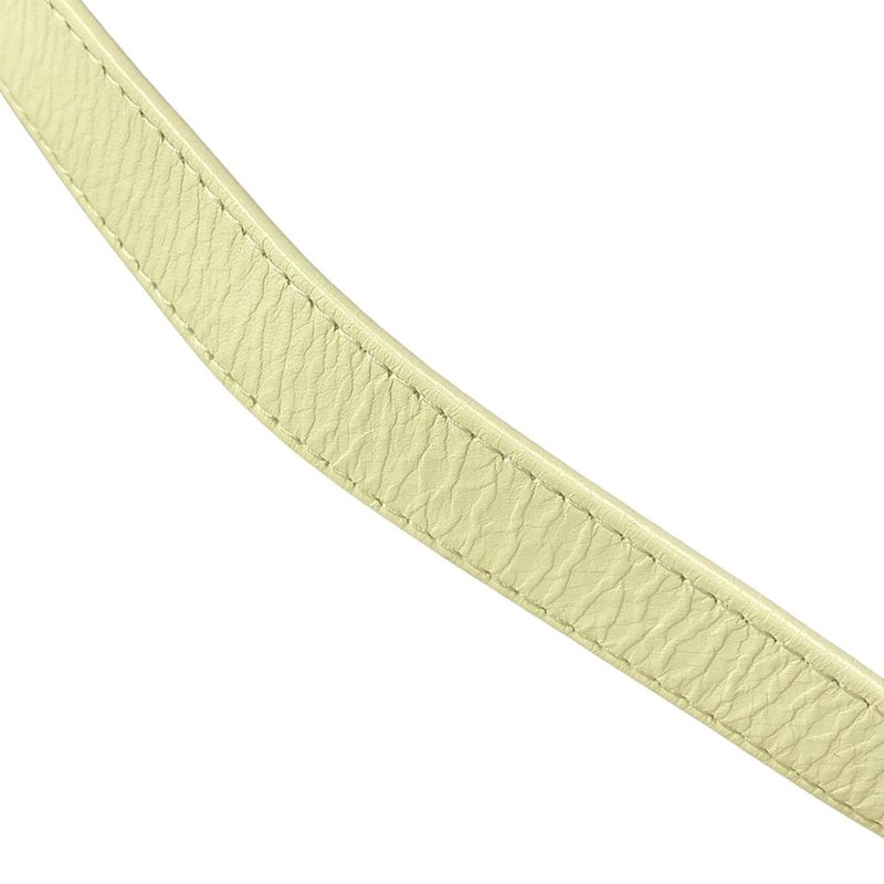 Bottega Veneta Shoulder Bag Mini Cassette Crossbody 666688 Vmay1 Lemon Wash