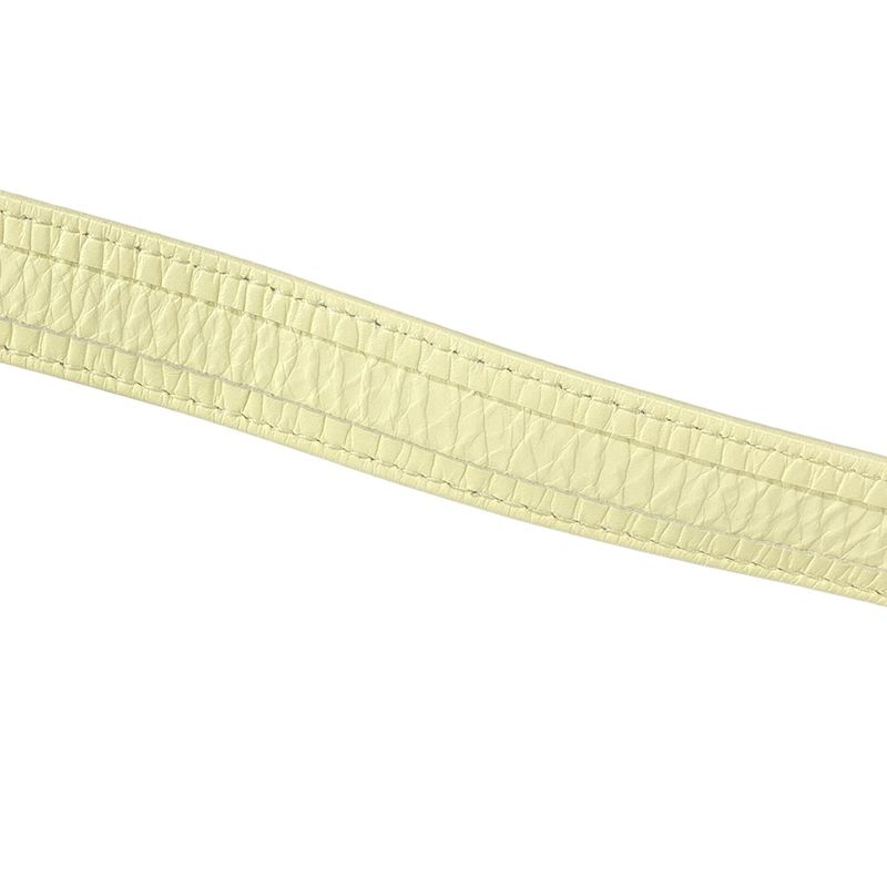 Bottega Veneta Shoulder Bag Mini Cassette Crossbody 666688 Vmay1 Lemon Wash