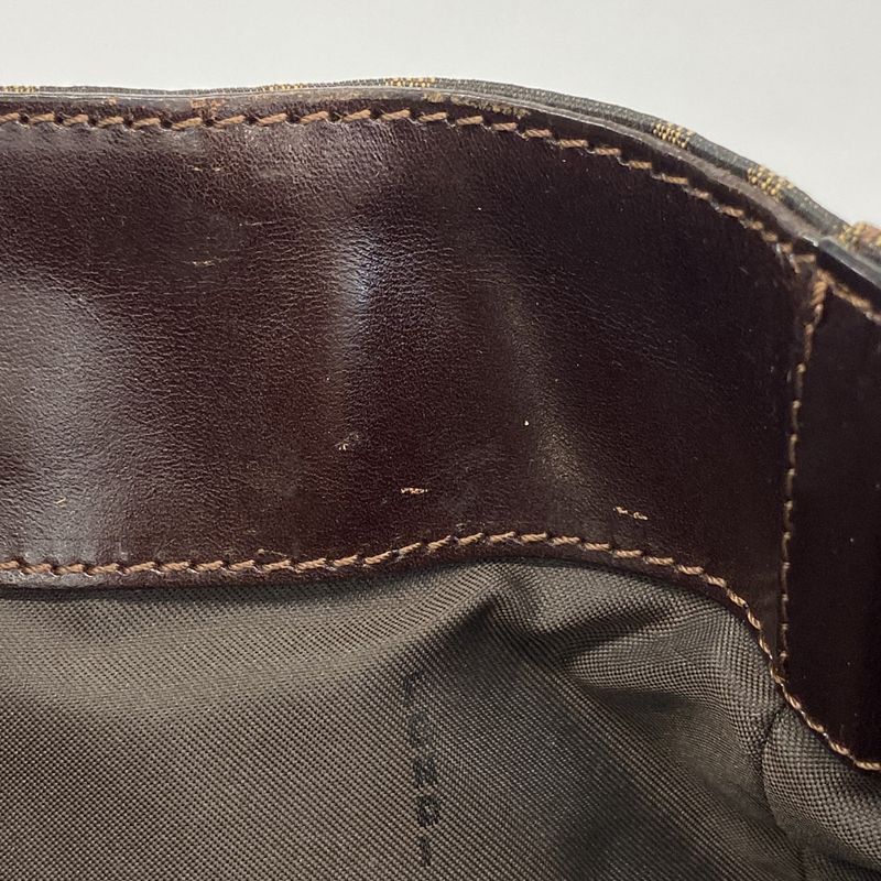 Fendi Tote Bag Zucca Nylon Canvas Brown Silver Hardware Women's