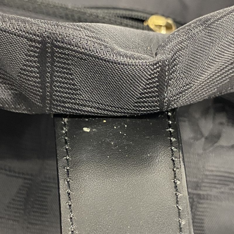 Chanel Tote New Travel Nylon Black Chien Pan Gold Hardware Women's