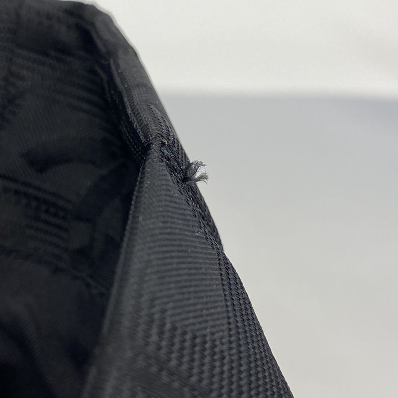 Chanel Tote New Travel Nylon Black Chien Pan Gold Hardware Women's