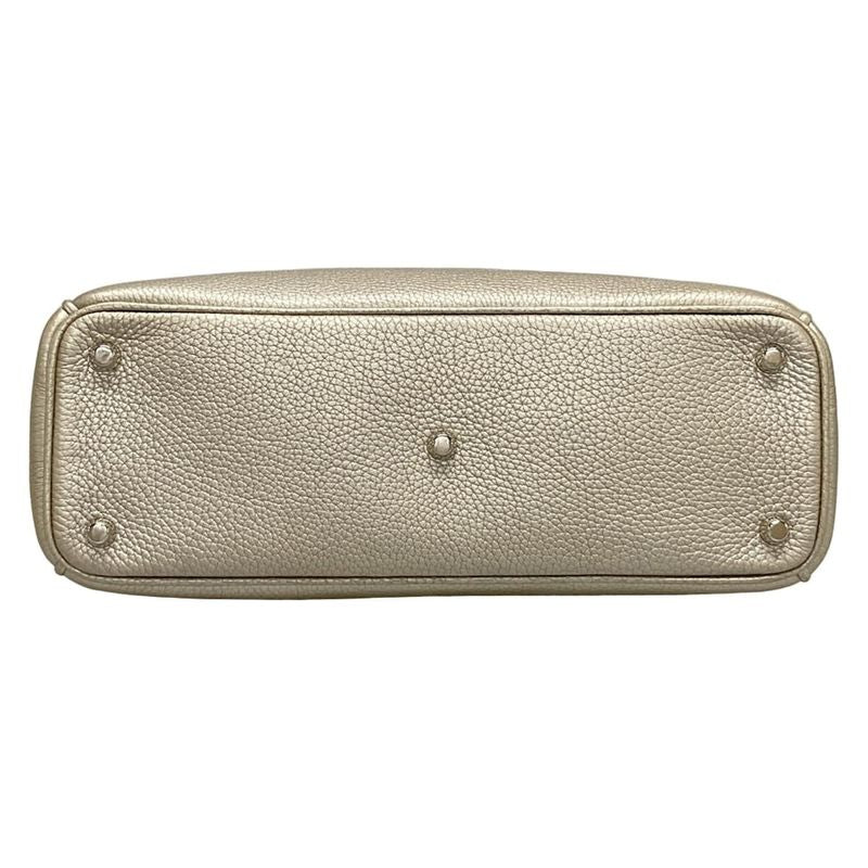 Dior/christian Dior Tote Bag Diorissimo M0902ptuz Chien Pangold Leather