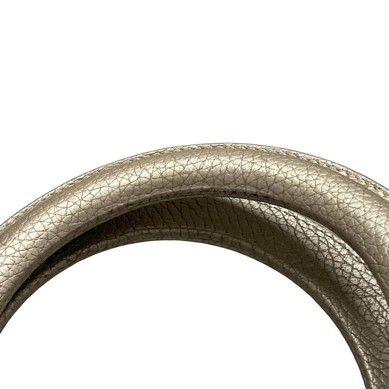 Dior/christian Dior Tote Bag Diorissimo M0902ptuz Chien Pangold Leather