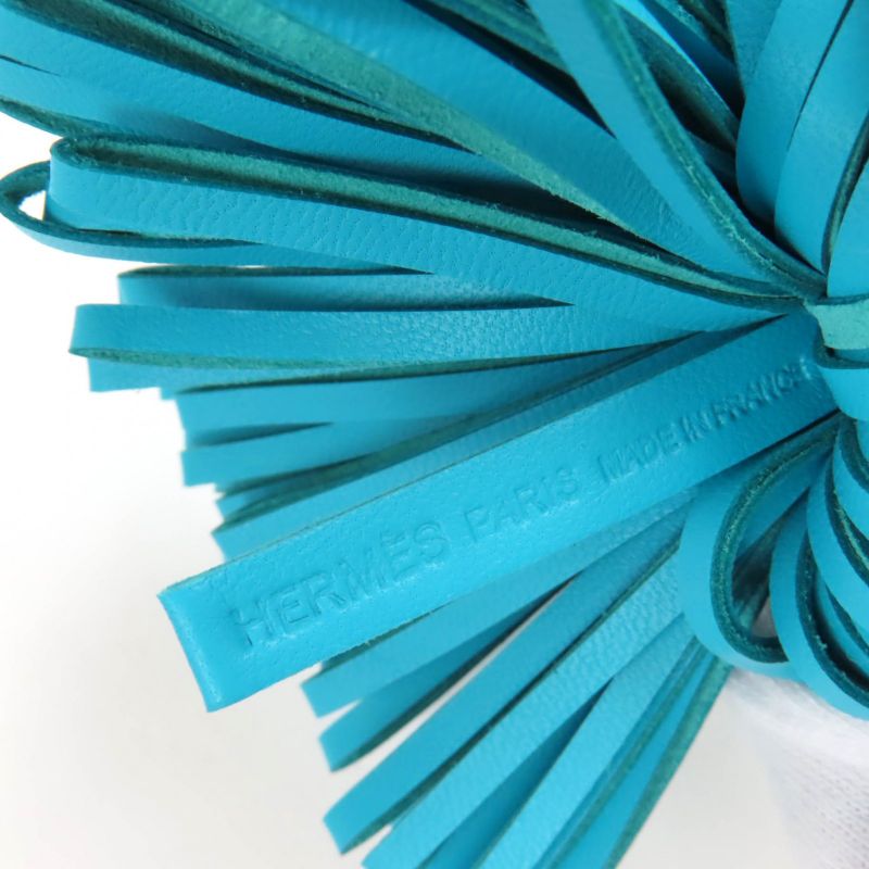 Hermes Carmen Agnomiro Lagon Purchased October 2024 Bag Charm W Engraved With