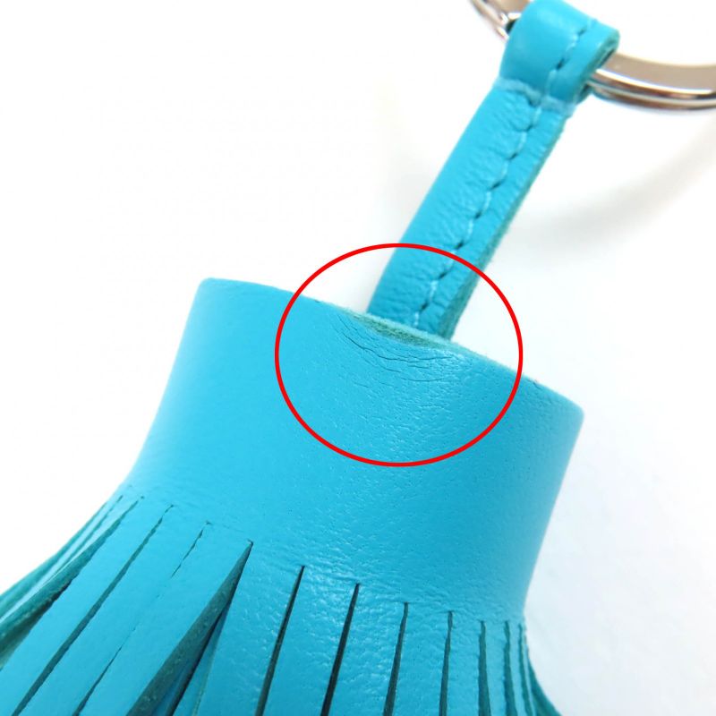 Hermes Carmen Agnomiro Lagon Purchased October 2024 Bag Charm W Engraved With