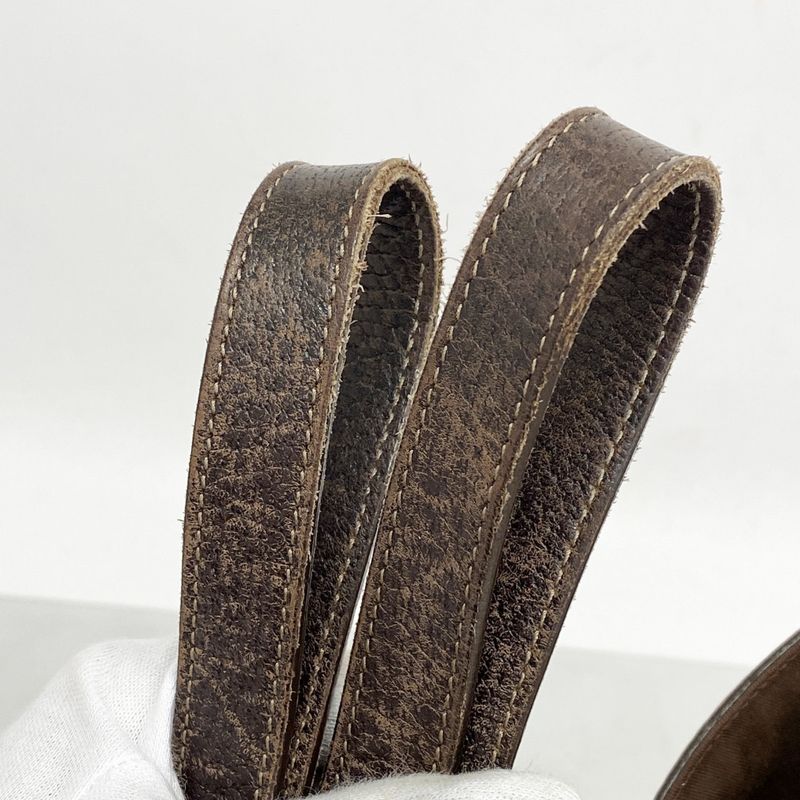 Gucci Tote Bag GG Canvas/abby 141472 Canvas Brown Chien Pan Gold Hardware