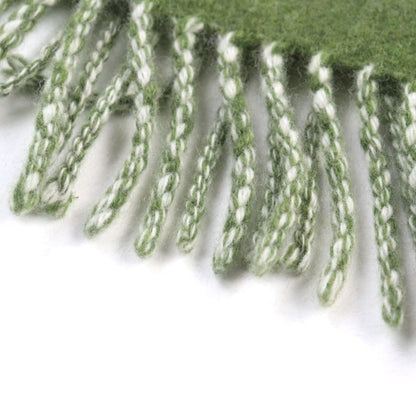 LOEWE Wool Cashmere Anagram Logo Leather Reversible Scarf With Patch Khaki