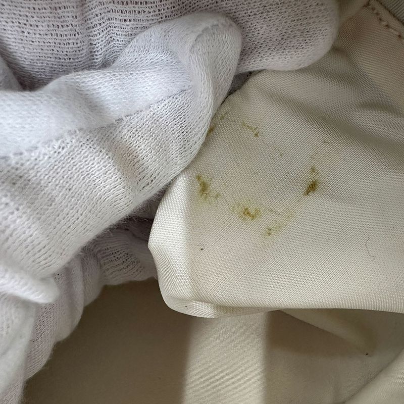 Chanel Bag Women's Branded Handbag New Travel Nylon Pink Beige Gold Hardware