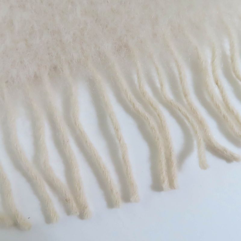 LOEWE F655254x01 Mohair Wool Anagram Logo Leather Patch Fringed Scarf Beige