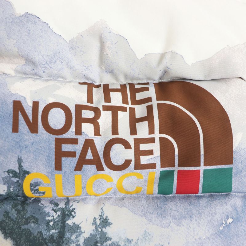 Gucci×the North FACE Gucci The North Face 21AW 670603 Nylon Down Trail Print