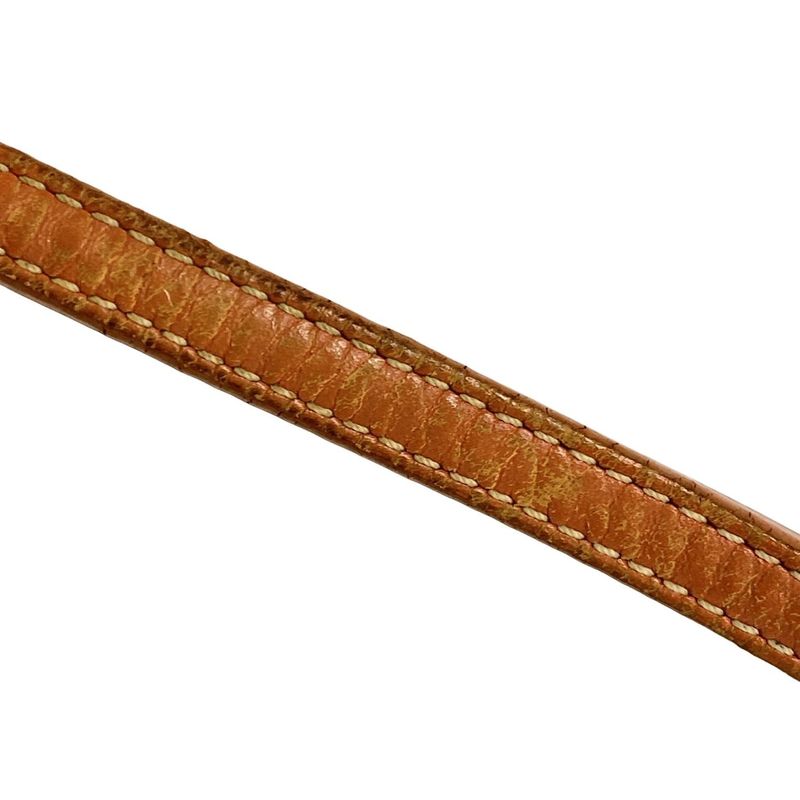 Goyard Saint Louis PM Orange×multi Snoopy/×peanuts/mercage Leather