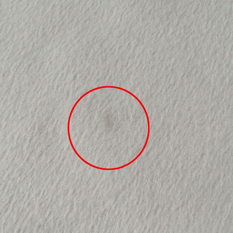 Prada 2020 P142s Angora-cashgora Mixed A-line Flared Skirt Women's Light Beige