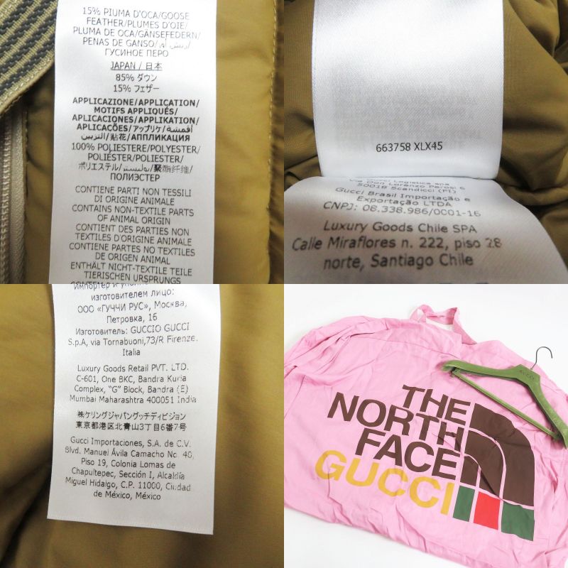 22ss Gucci X The North Face 663758 Logo Embroidery WZIP Hooded Down Jacket