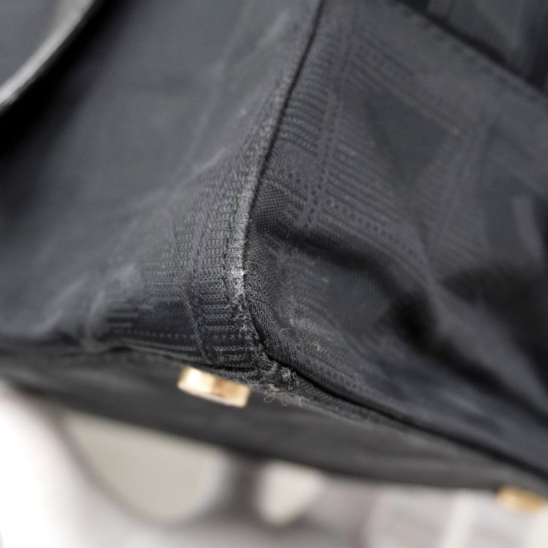 Chanel Handbag New Travel Nylon Black Chien Pan Gold Hardware Women's