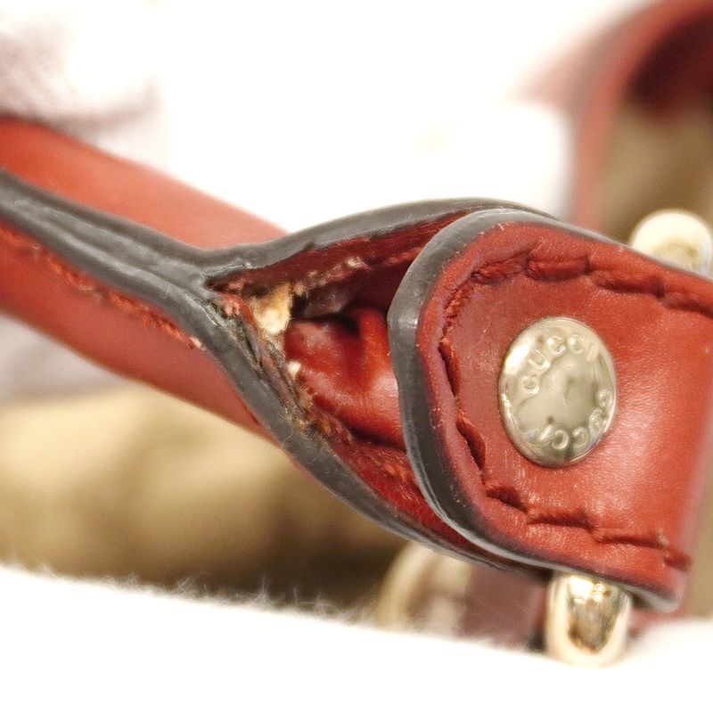 Gucci Handbag GG Canvas Sookie 211944 Canvas Brown Chien Pan Gold Hardware Women