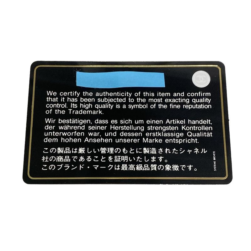 Chanel Shoulder Bag Single Flap Matelasse / Ultra Stitching A50851 Chien Pan