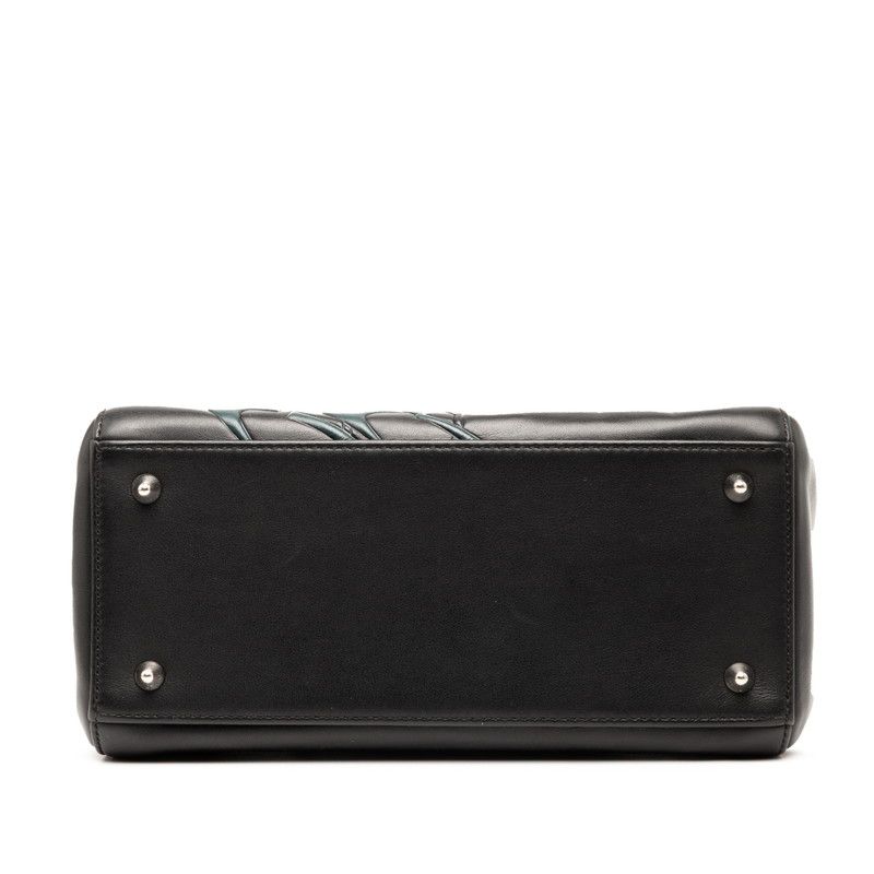 Christian Dior Paradise Lady Dior Medium Handbag Shoulder Bag 2WAY Black