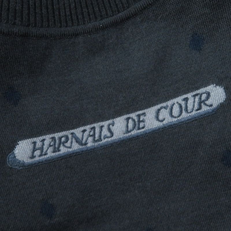 Hermes 2h2825ds Harnais DE COUR Court Saddlery Silk Cashmere Twill Laine Long