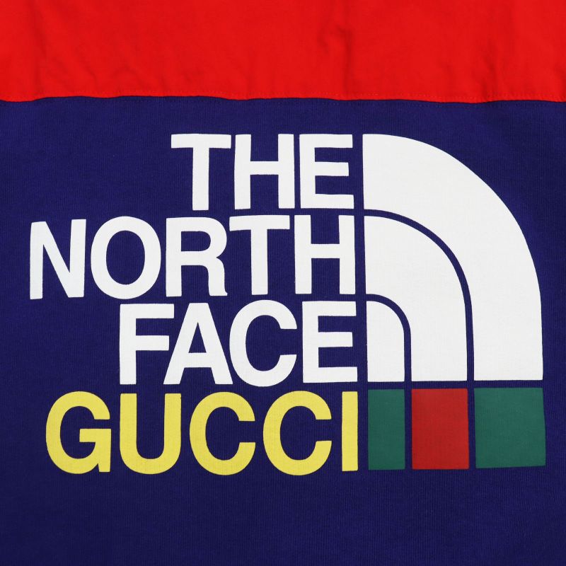 Gucci The North Face The North Face 21AW 671462 Logo Print Zip Up Sweatshirt