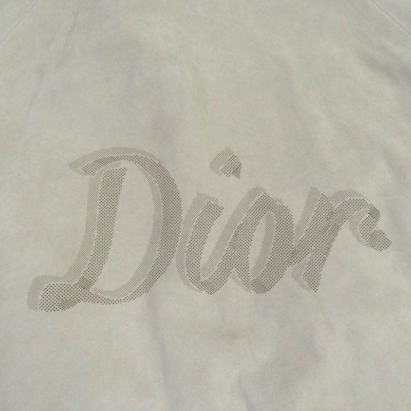 DIOR Homme 22AW 293l439a0471 Back Logo Back Oblique Suede Leather Jacket Light