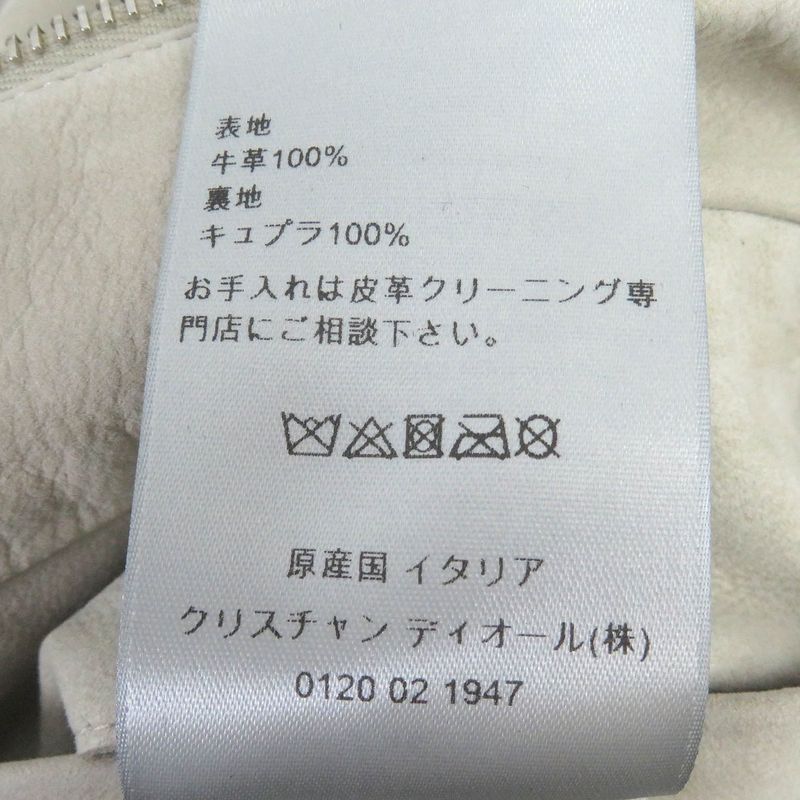 DIOR Homme 22AW 293l439a0471 Back Logo Back Oblique Suede Leather Jacket Light