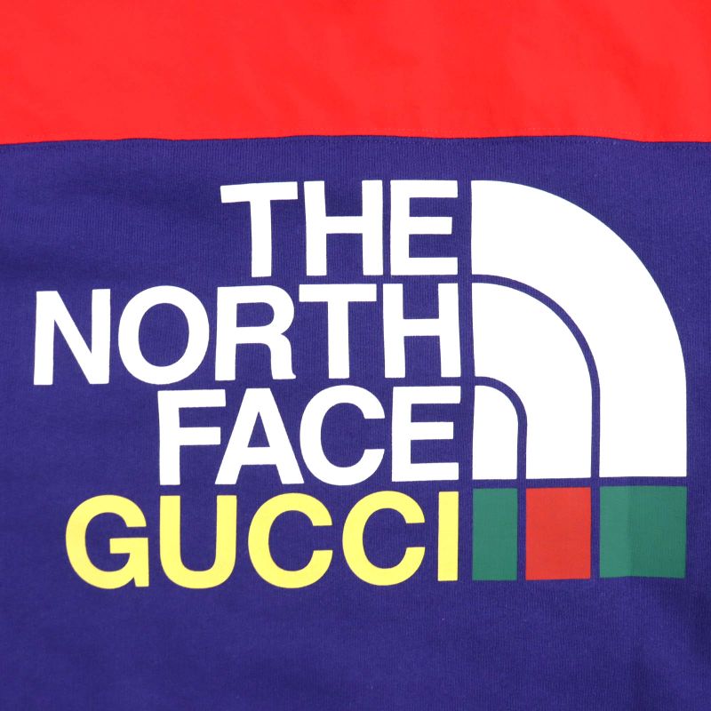 Gucci THE North FACE Gucci The North Face 22SS 671462 Logo Print Sweatshirt